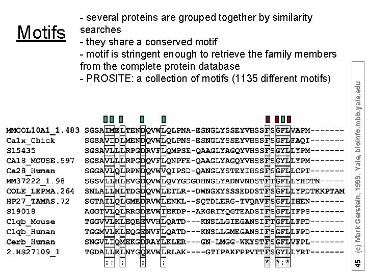 45 (c) Mark Gerstein, 1999, Yale, bioinfo. mbb. yale. edu Motifs - several proteins