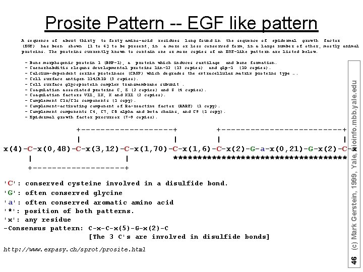 Prosite Pattern -- EGF like pattern - Bone morphogenic protein 1 (BMP-1), a protein