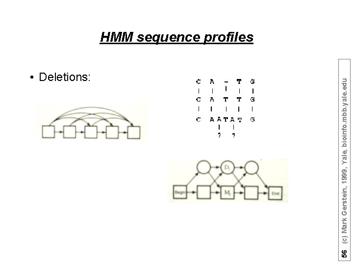  • Deletions: 56 (c) Mark Gerstein, 1999, Yale, bioinfo. mbb. yale. edu HMM