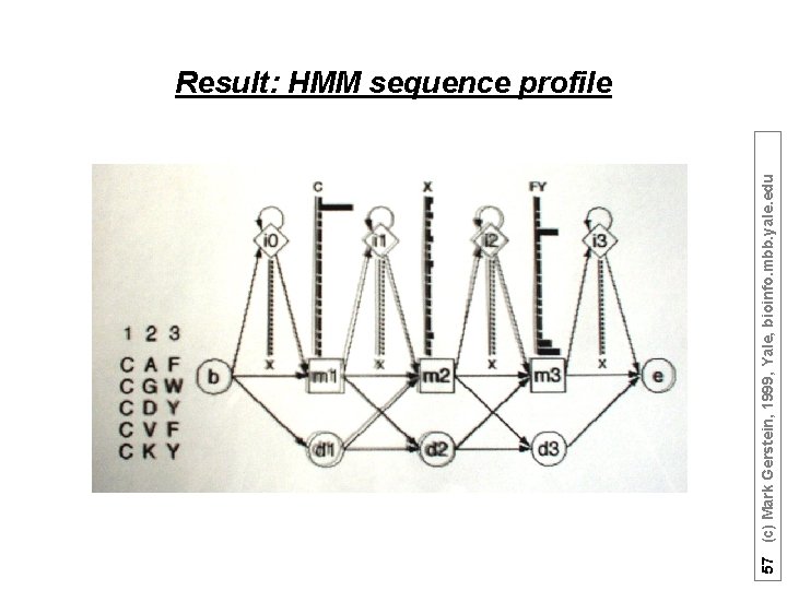 57 (c) Mark Gerstein, 1999, Yale, bioinfo. mbb. yale. edu Result: HMM sequence profile