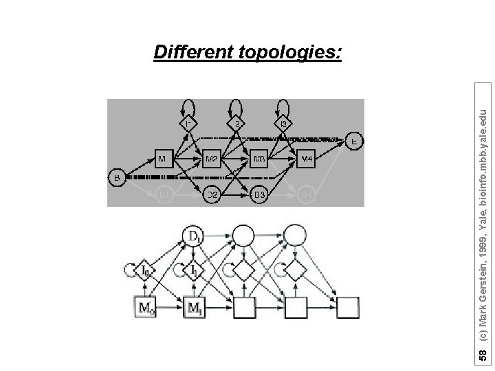 58 (c) Mark Gerstein, 1999, Yale, bioinfo. mbb. yale. edu Different topologies: 