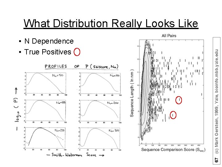  • N Dependence • True Positives 67 (c) Mark Gerstein, 1999, Yale, bioinfo.