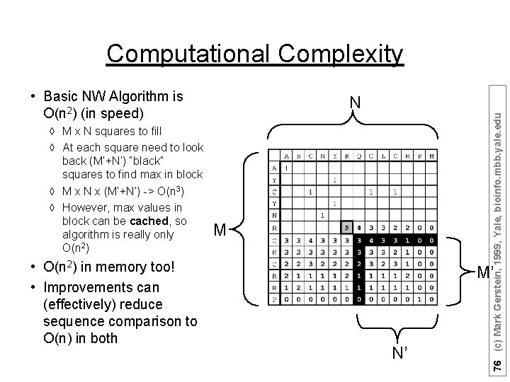 Computational Complexity • Basic NW Algorithm is O(n 2) (in speed) • O(n 2)