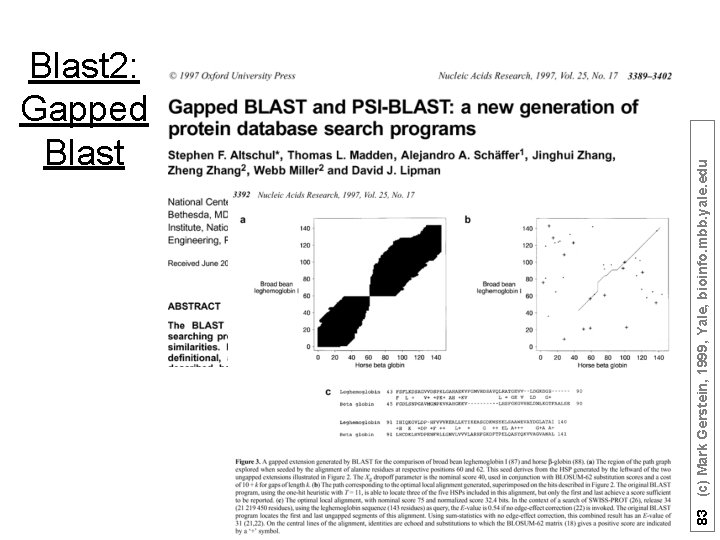 83 (c) Mark Gerstein, 1999, Yale, bioinfo. mbb. yale. edu Blast 2: Gapped Blast