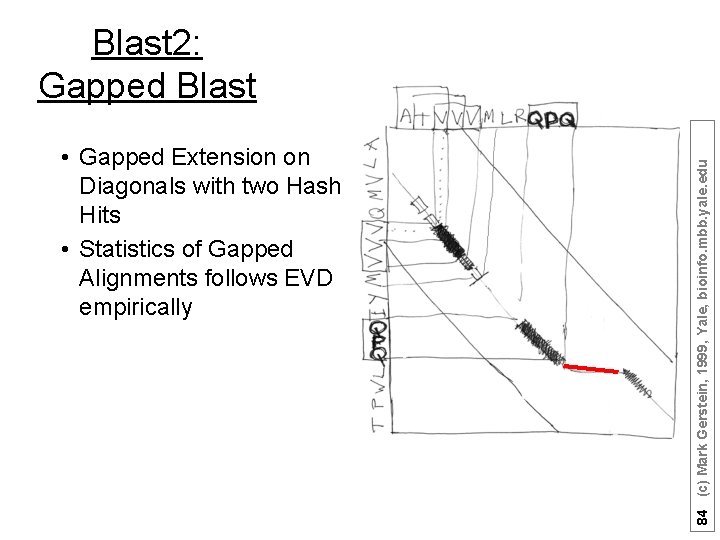  • Gapped Extension on Diagonals with two Hash Hits • Statistics of Gapped