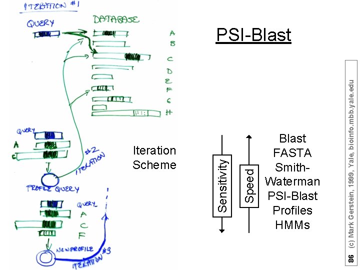 Iteration Scheme Speed Sensitivity Blast FASTA Smith. Waterman PSI-Blast Profiles HMMs 86 (c) Mark