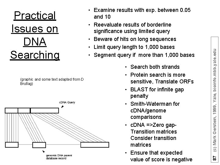 (graphic and some text adapted from D Brutlag) • Search both strands • Protein