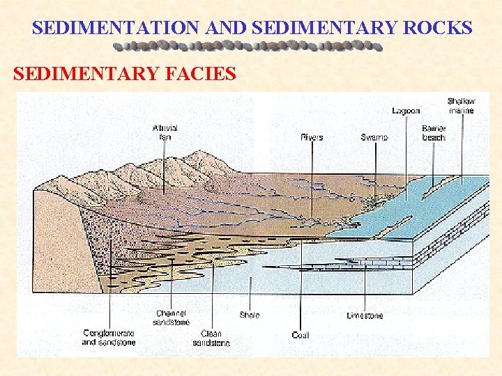 SEDIMENTATION AND SEDIMENTARY ROCKS SEDIMENTARY FACIES 