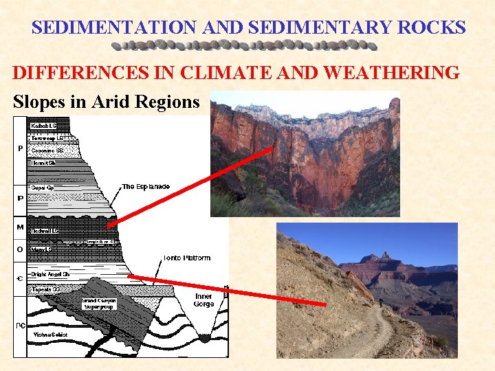 SEDIMENTATION AND SEDIMENTARY ROCKS DIFFERENCES IN CLIMATE AND WEATHERING Slopes in Arid Regions 