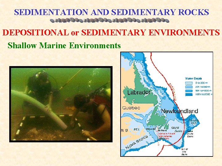 SEDIMENTATION AND SEDIMENTARY ROCKS DEPOSITIONAL or SEDIMENTARY ENVIRONMENTS Shallow Marine Environments 