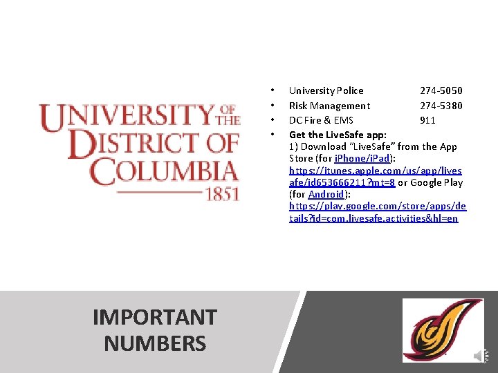  • • IMPORTANT NUMBERS University Police 274 -5050 Risk Management 274 -5380 DC