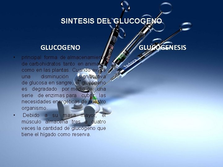 SINTESIS DEL GLUCOGENO • • principal forma de almacenamiento de carbohidratos tanto en animales