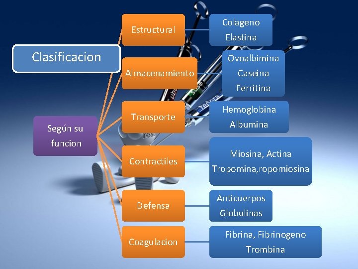 Estructural Clasificacion Elastina Ovoalbimina Almacenamiento Según su Colageno Transporte funcion Contractiles Defensa Coagulacion Caseina