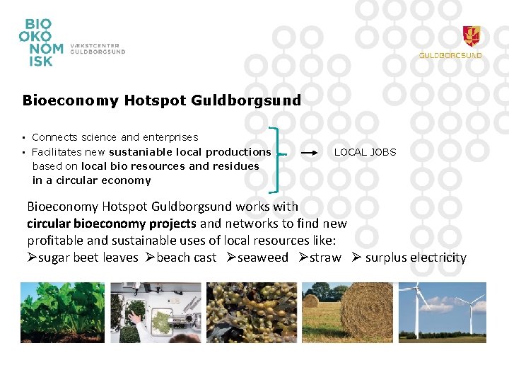 Bioeconomy Hotspot Guldborgsund • Connects science and enterprises • Facilitates new sustaniable local productions