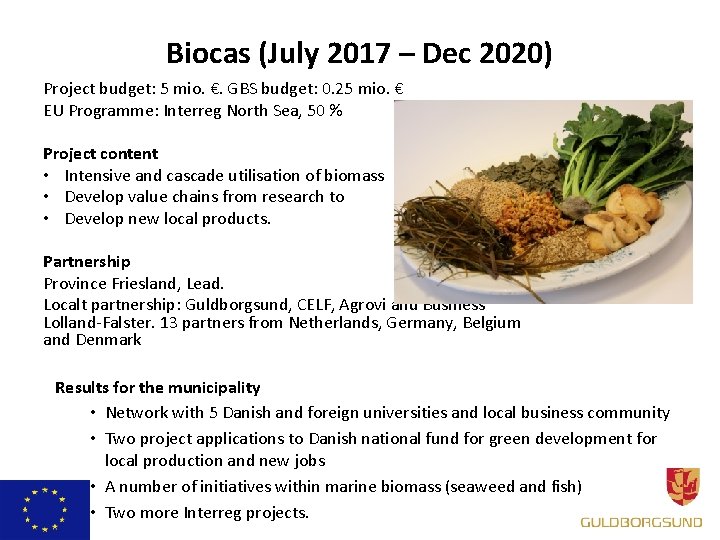 Biocas (July 2017 – Dec 2020) Project budget: 5 mio. €. GBS budget: 0.