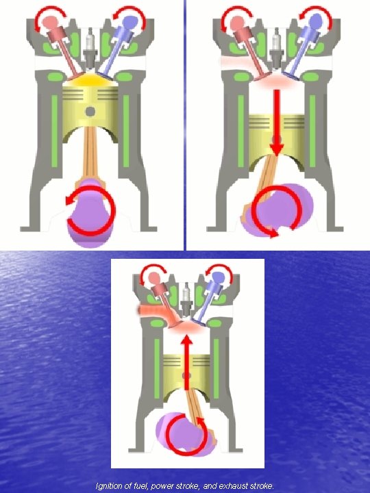 Ignition of fuel, power stroke, and exhaust stroke. 