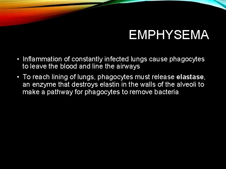 EMPHYSEMA • Inflammation of constantly infected lungs cause phagocytes to leave the blood and