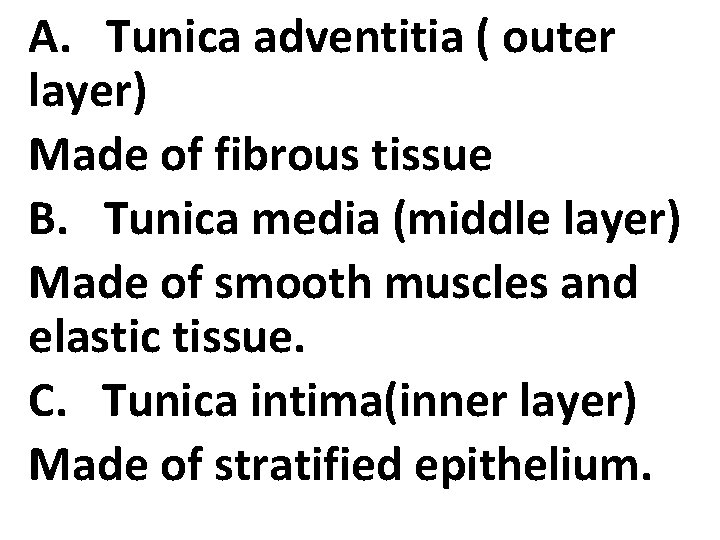 A. Tunica adventitia ( outer layer) Made of fibrous tissue B. Tunica media (middle