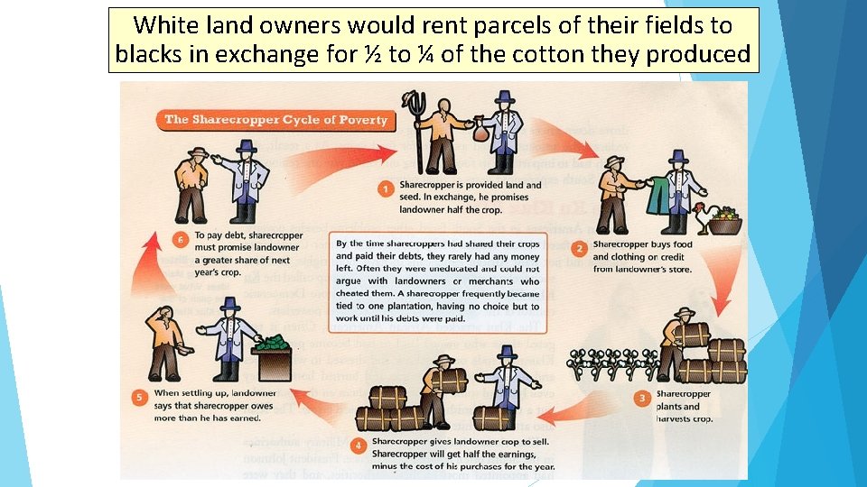 White land owners would rent parcels of their fields to blacks in exchange for