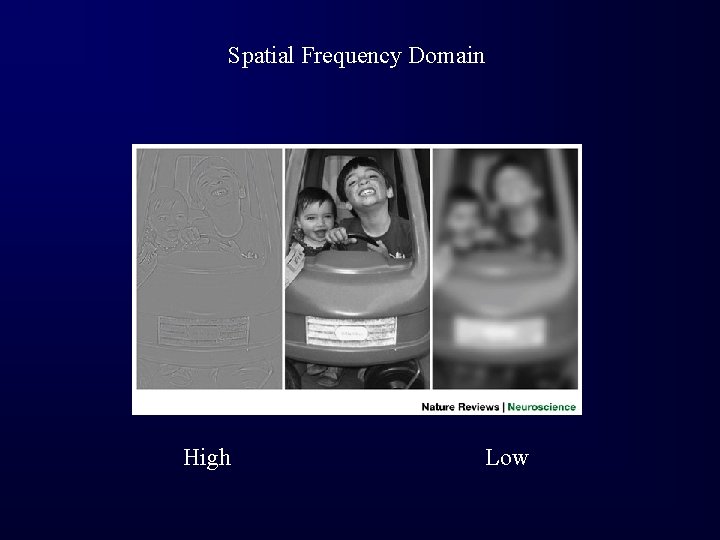 Spatial Frequency Domain High Low 