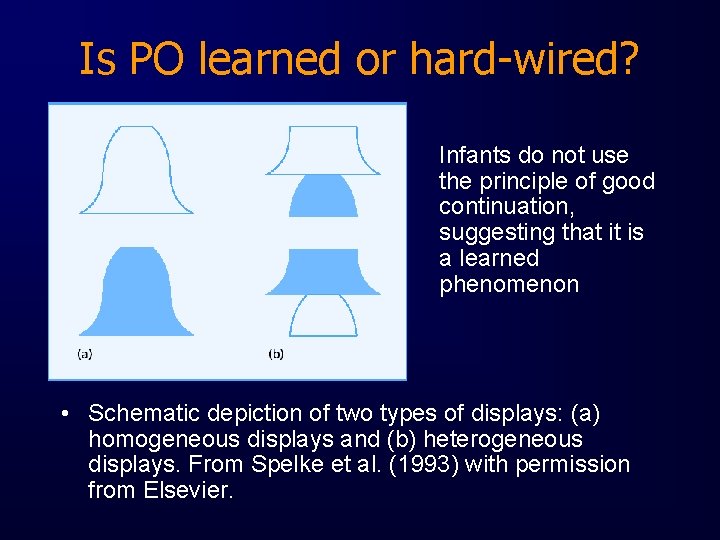 Is PO learned or hard-wired? Infants do not use the principle of good continuation,