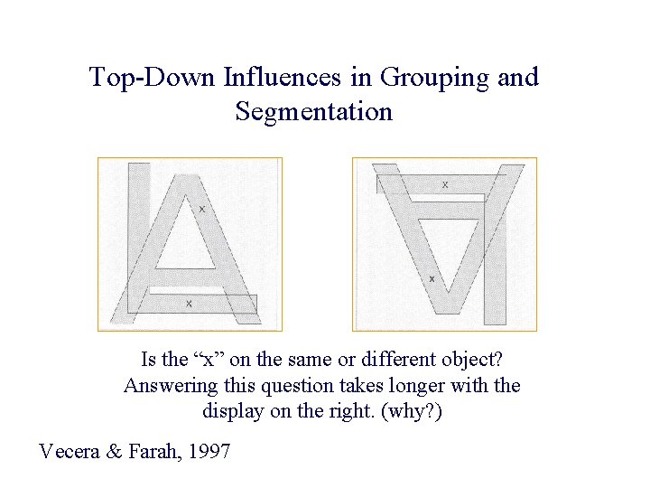Top-Down Influences in Grouping and Segmentation Is the “x” on the same or different
