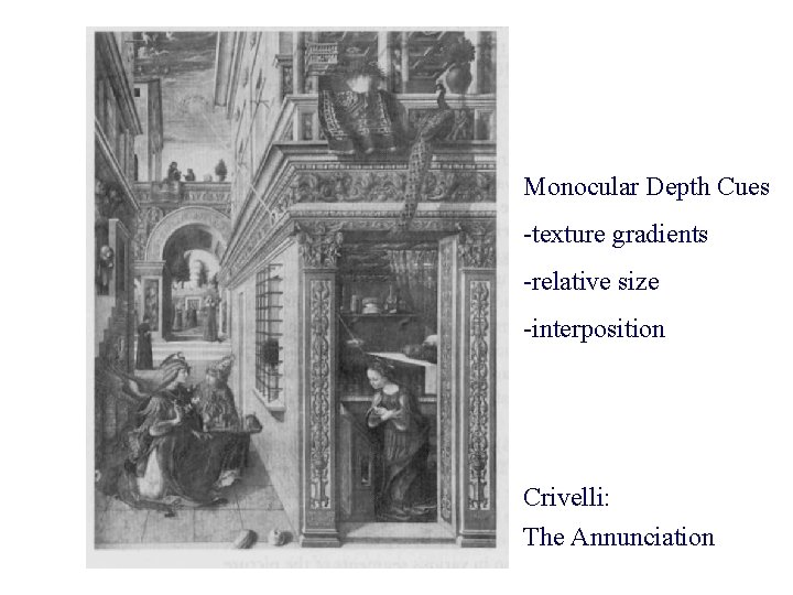Monocular Depth Cues -texture gradients -relative size -interposition Crivelli: The Annunciation 