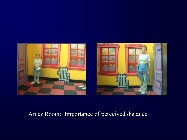 Ames Room: Importance of perceived distance 