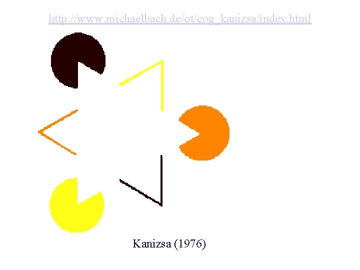 http: //www. michaelbach. de/ot/cog_kanizsa/index. html Kanizsa (1976) 
