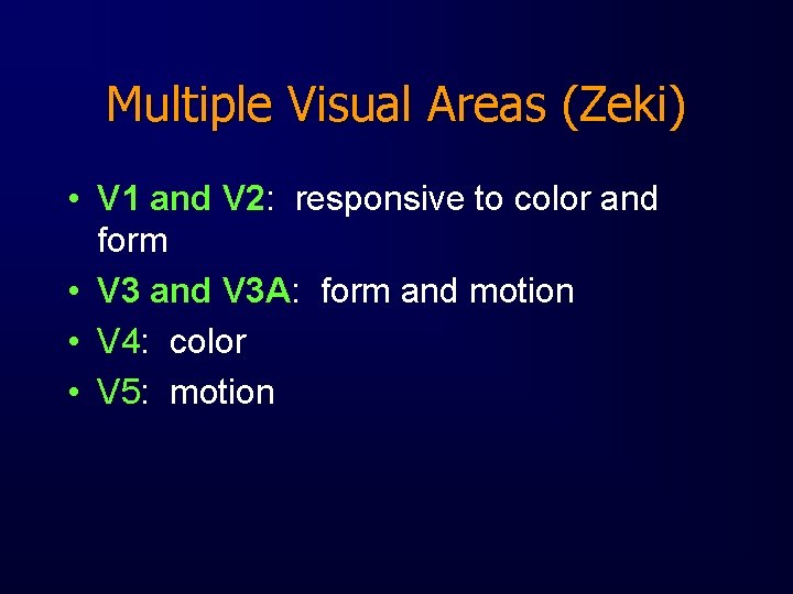 Multiple Visual Areas (Zeki) • V 1 and V 2: responsive to color and