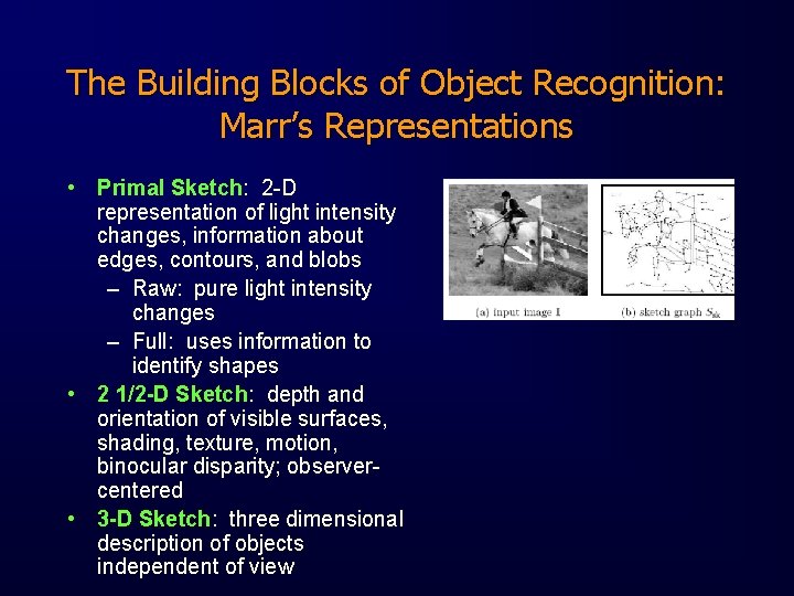 The Building Blocks of Object Recognition: Marr’s Representations • Primal Sketch: 2 -D representation