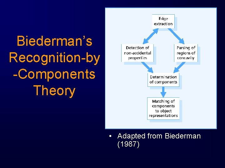 Biederman’s Recognition-by -Components Theory • Adapted from Biederman (1987) 