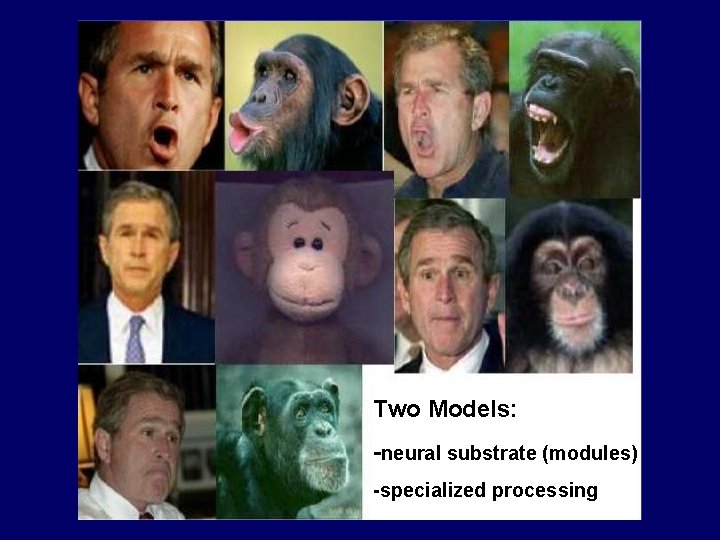 Two Models: -neural substrate (modules) -specialized processing 