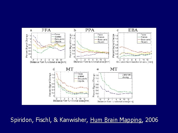 Spiridon, Fischl, & Kanwisher, Hum Brain Mapping, 2006 