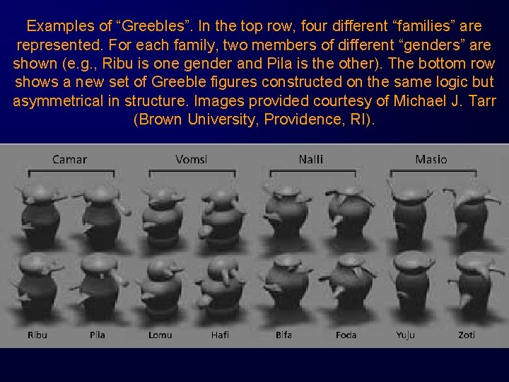 Examples of “Greebles”. In the top row, four different “families” are represented. For each