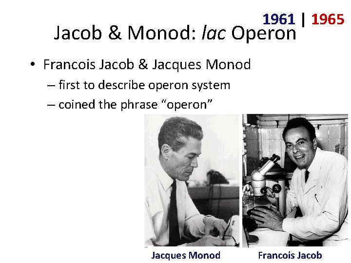 1961 | 1965 Jacob & Monod: lac Operon • Francois Jacob & Jacques Monod