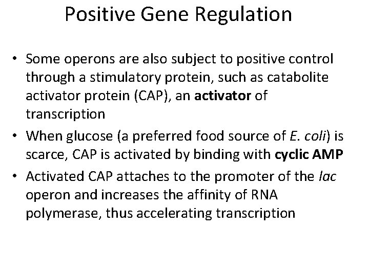Positive Gene Regulation • Some operons are also subject to positive control through a