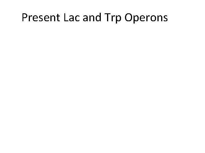 Present Lac and Trp Operons 