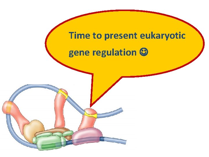 Time to present eukaryotic gene regulation 2007 -2008 