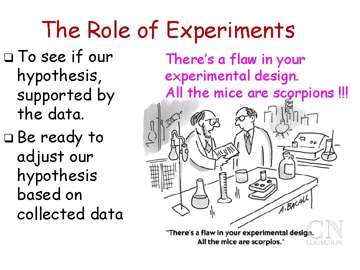 The Role of Experiments q To see if our hypothesis, supported by the data.