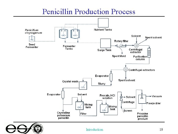 Penicillin Production Process Introduction 19 