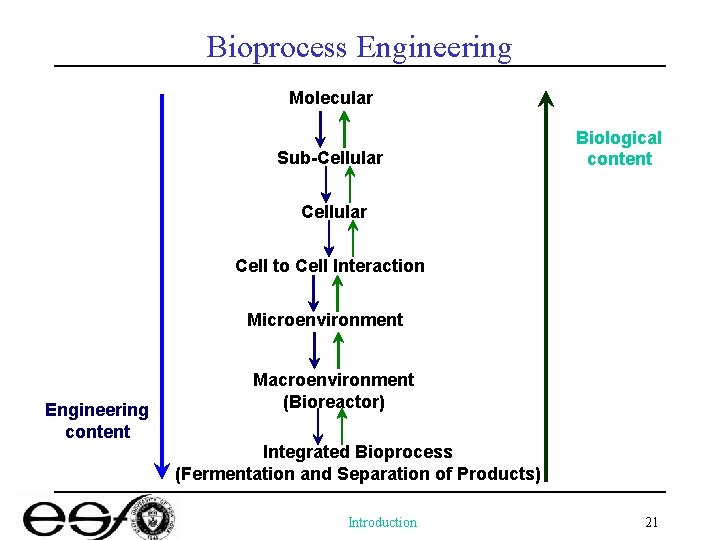 Bioprocess Engineering Molecular Sub-Cellular Biological content Cellular Cell to Cell Interaction Microenvironment Engineering content