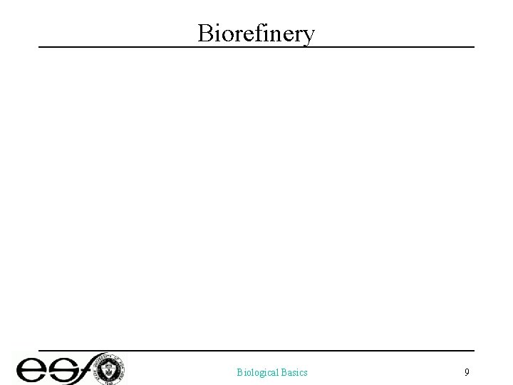 Biorefinery Biological Basics 9 