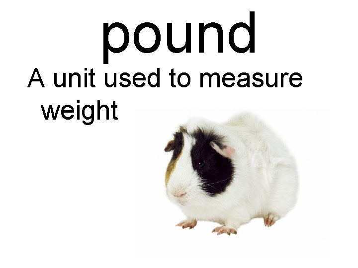 pound A unit used to measure weight 