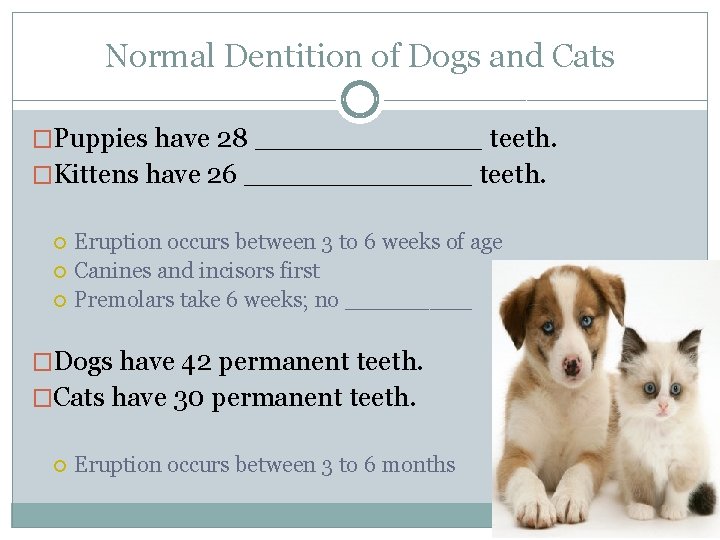 Normal Dentition of Dogs and Cats �Puppies have 28 ______ teeth. �Kittens have 26
