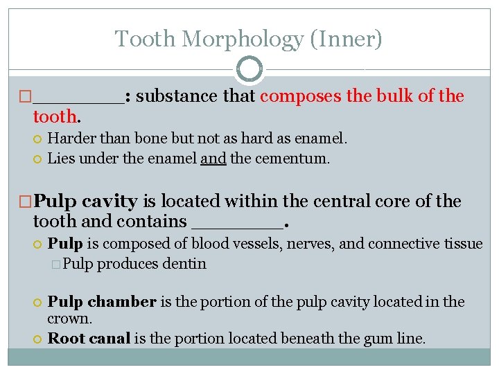 Tooth Morphology (Inner) �_______: substance that composes the bulk of the tooth. Harder than