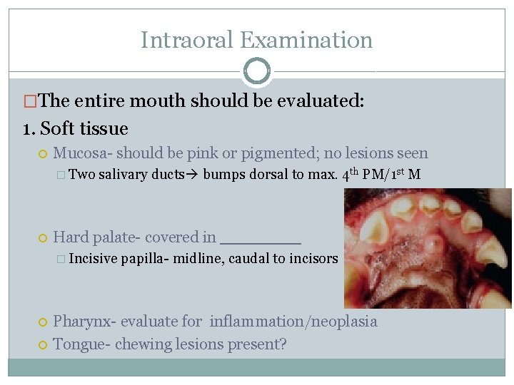 Intraoral Examination �The entire mouth should be evaluated: 1. Soft tissue Mucosa- should be