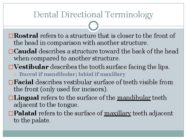 Dental Directional Terminology �Rostral refers to a structure that is closer to the front