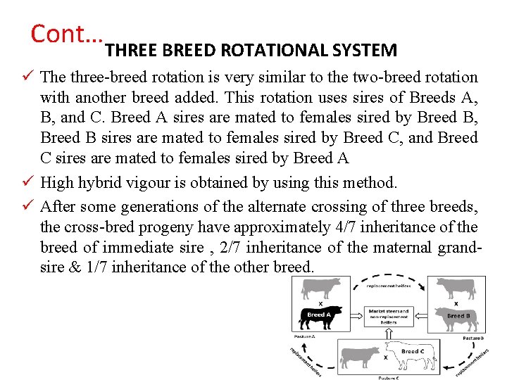 Cont… THREE BREED ROTATIONAL SYSTEM ü The three-breed rotation is very similar to the