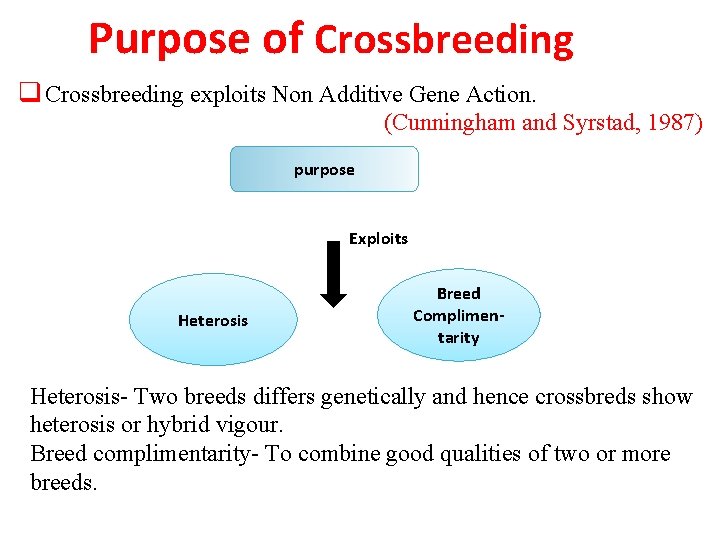 Purpose of Crossbreeding q Crossbreeding exploits Non Additive Gene Action. (Cunningham and Syrstad, 1987)